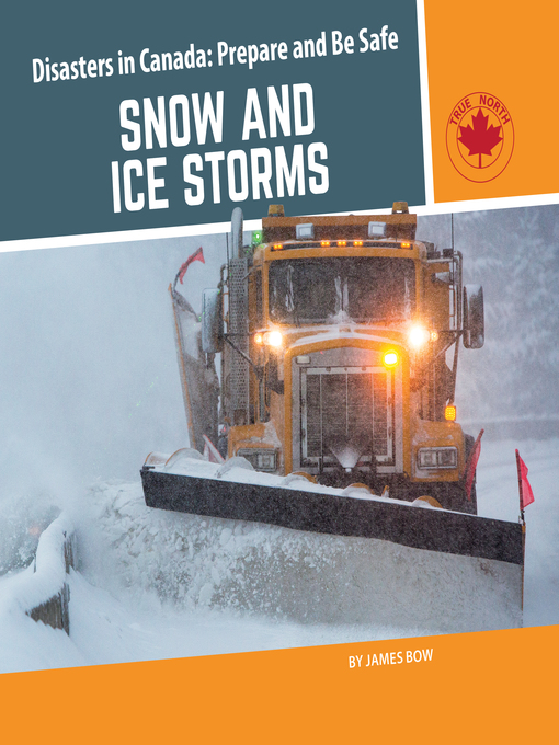 Cover image for Snow and Ice Storms